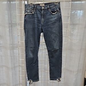 Agolde Classic Blue Denim Jeans